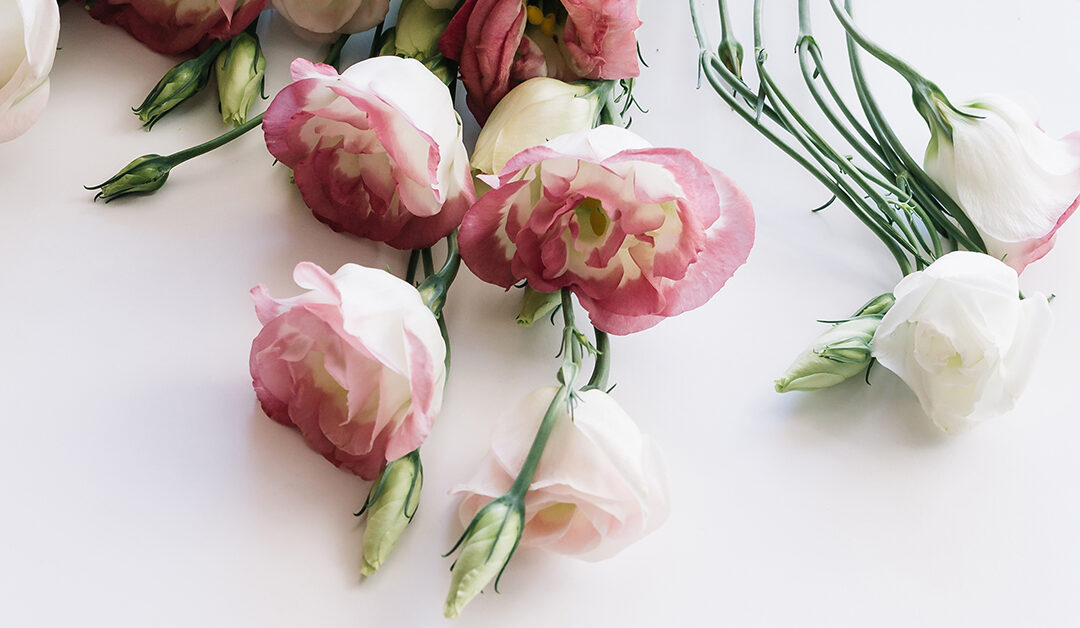 Mother’s Day Menu 2026