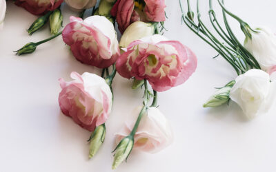 Mother’s Day Menu 2026